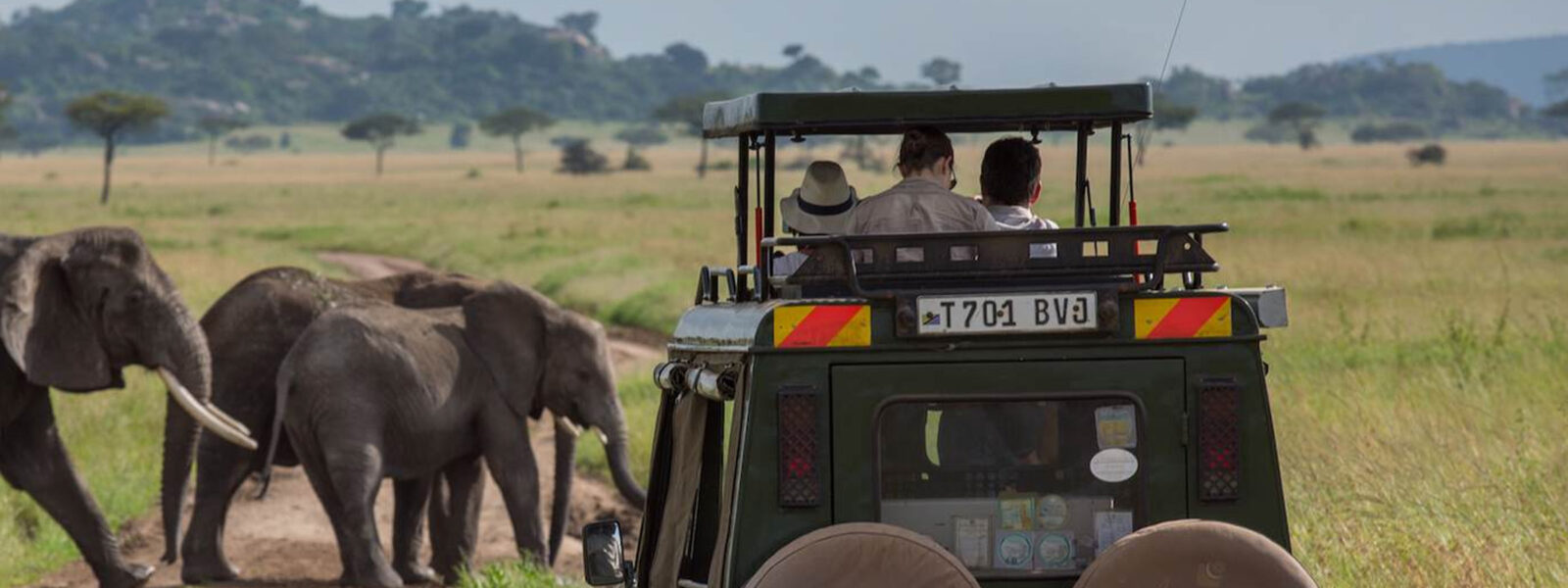 Safari & Expedities