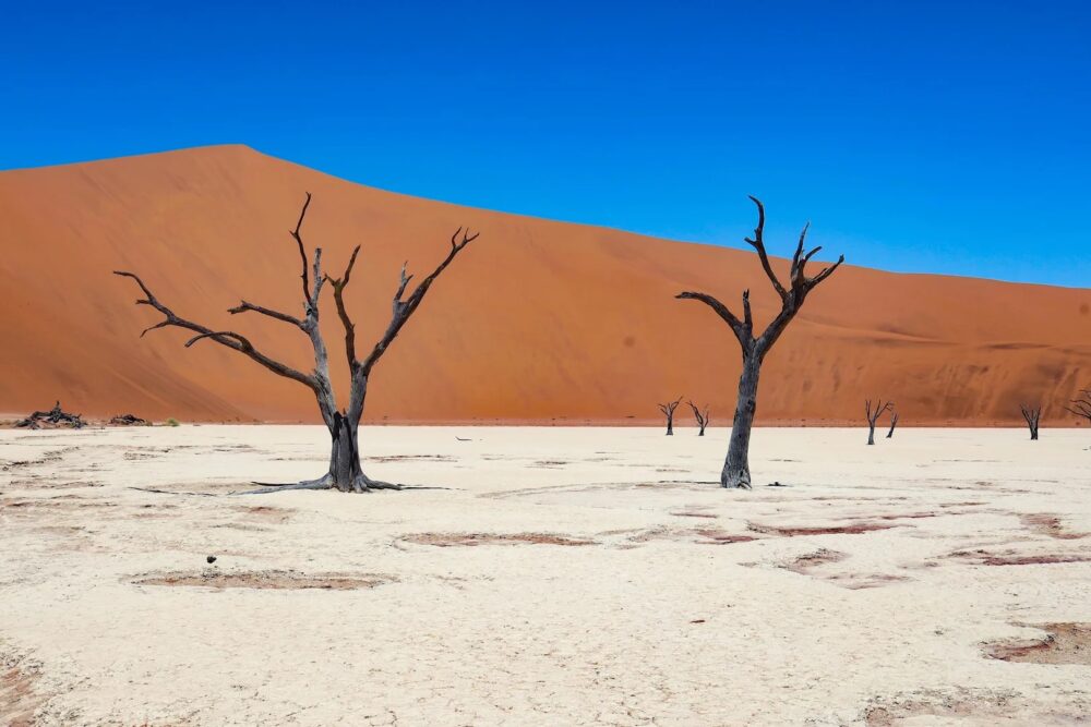 Afrika
