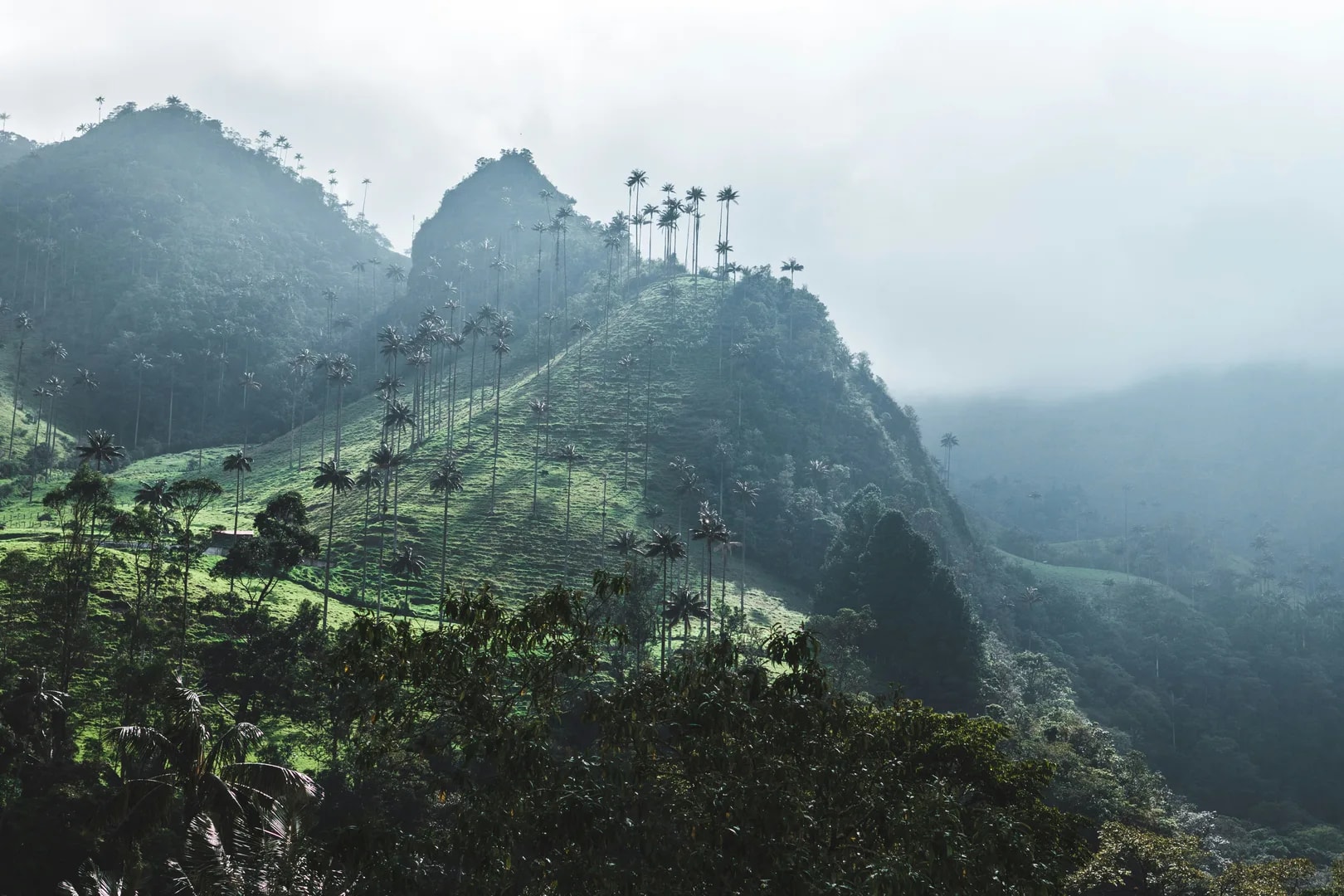 Colombia