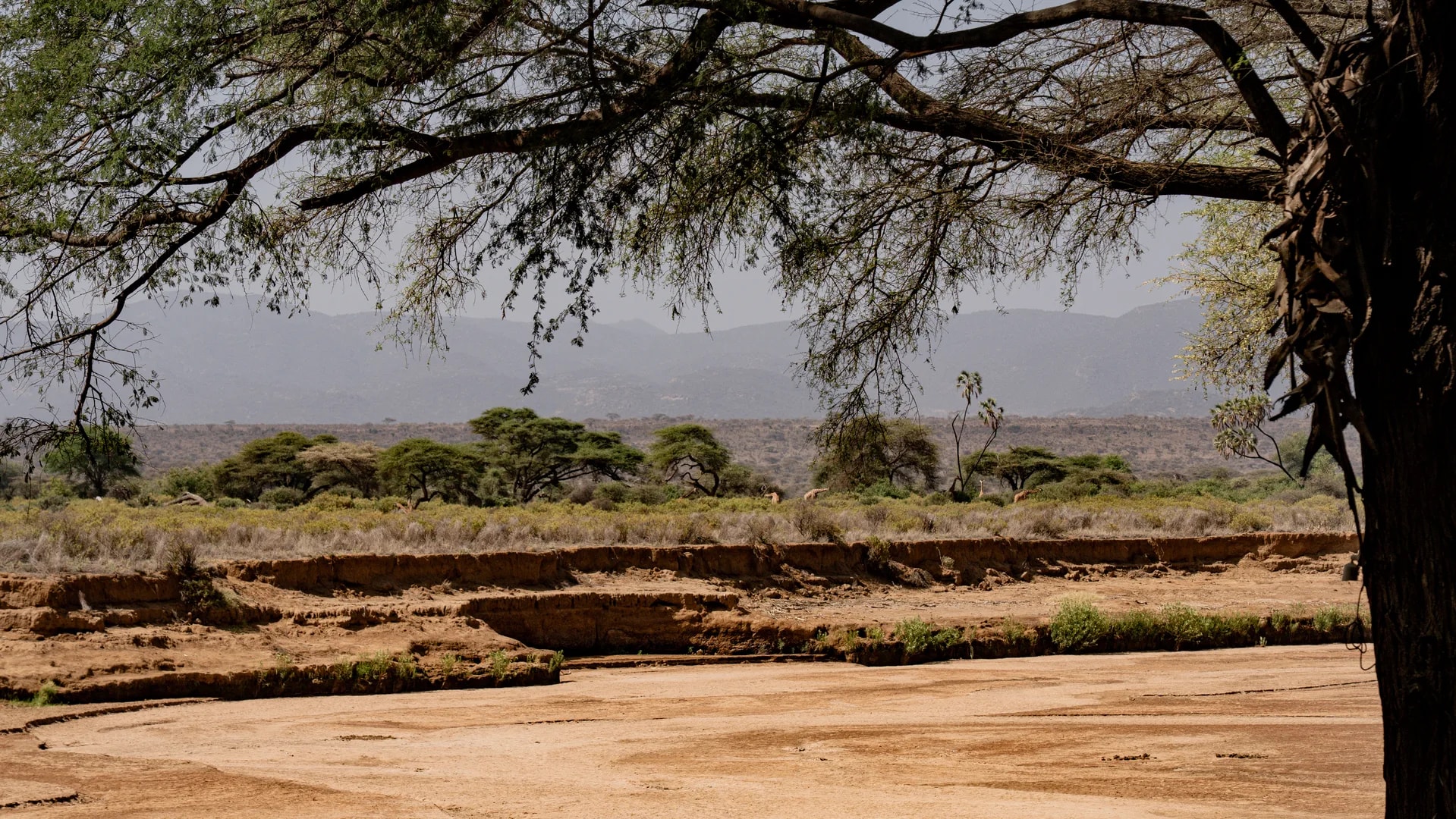 Kenia